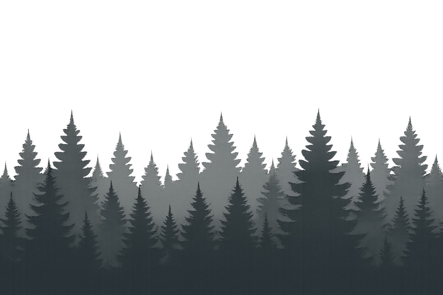 Pine Tree Line Silhouette